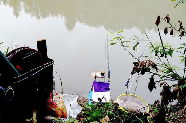 秋季雨后钓鱼，掌握这些要领，可避免空军