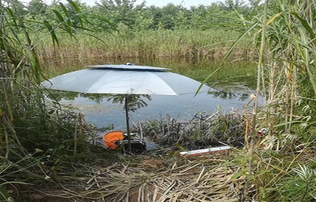 夏季钓鱼选钓位的几个方法