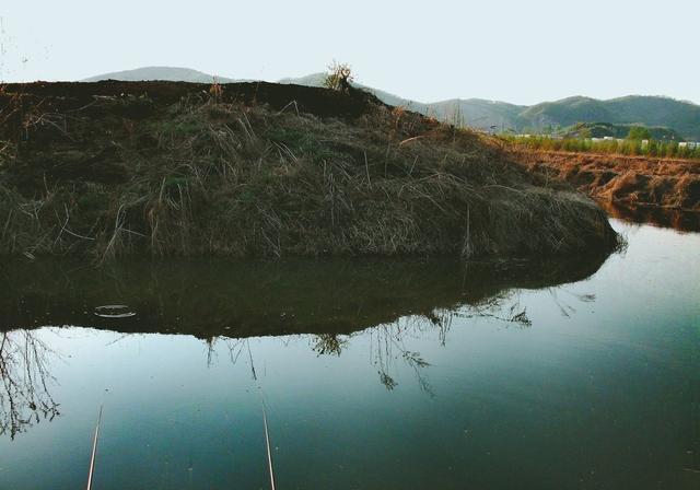 夏钓指南：一天中3个重要的钓鱼时间段