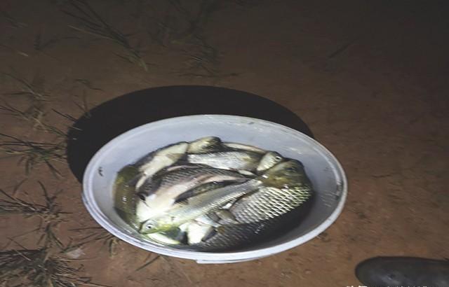 夏季野钓掌握这些狠招，避杂鱼钓大鱼