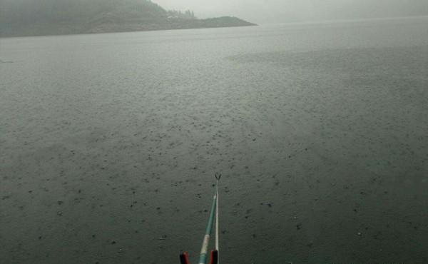 适合夏季野钓的5种天气，这些天气出钓