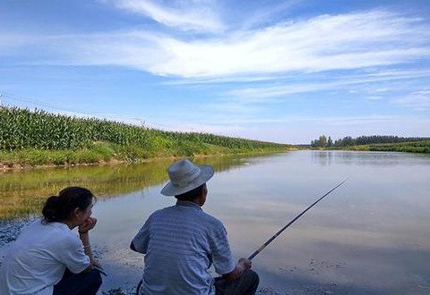 夏季钓鱼时刻分析