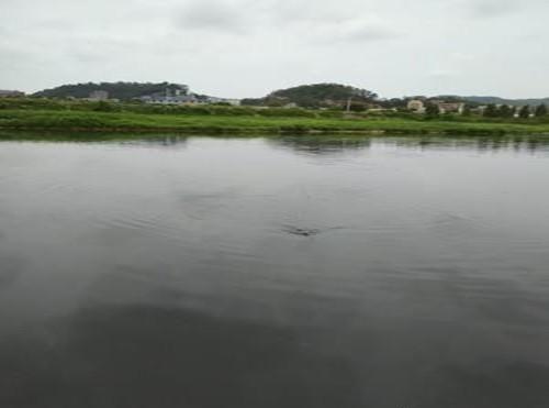 解析夏季野钓土鲮鱼的四大技巧