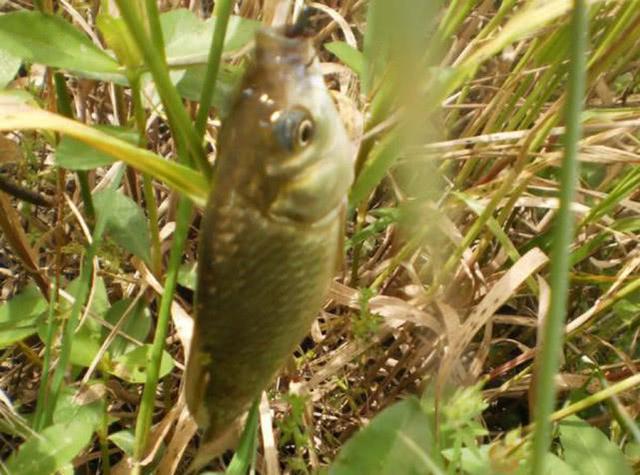 夏钓，钓位选择是关键