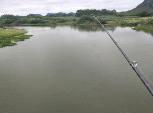 夏季野钓鲢鳙的两大钓位技巧