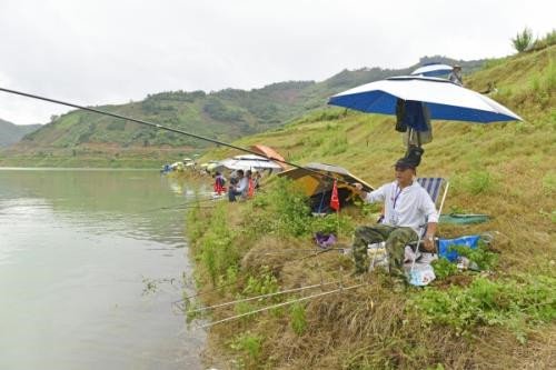 立夏面饵钓草鲤，立夏之后钓鱼的五个选择