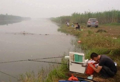 初夏钓鲫鲤鱼，想要快速上鱼，这里可以给你支个招