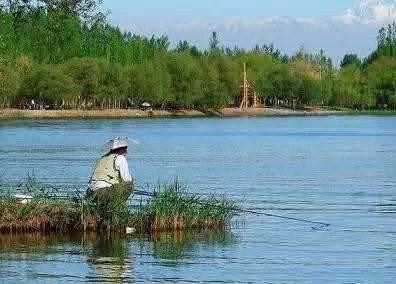 春钓不知水情和鱼情，钓点挑选很困难，记住这几句口诀