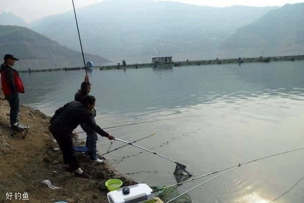 春钓不知水情和鱼情，钓点挑选很困难，记住这几句口诀