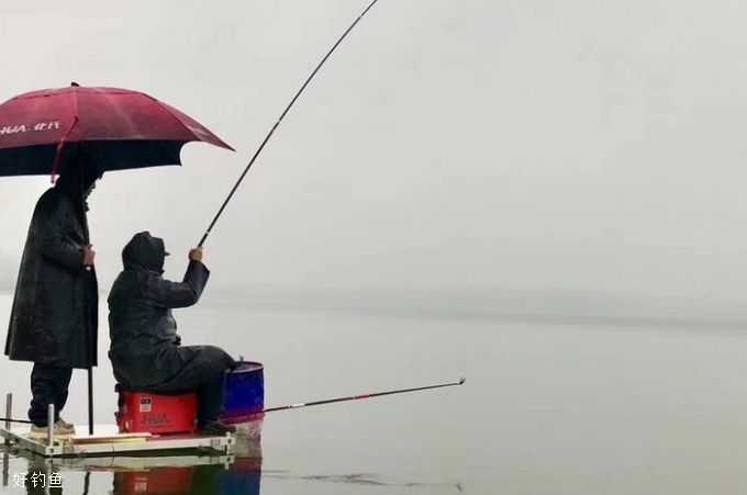 冬天钓鲫鱼的心得分享，钓具线组浮标饵料的选择