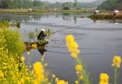 春季钓鱼要钓草，春季不同阶段钓草套路也是不同的