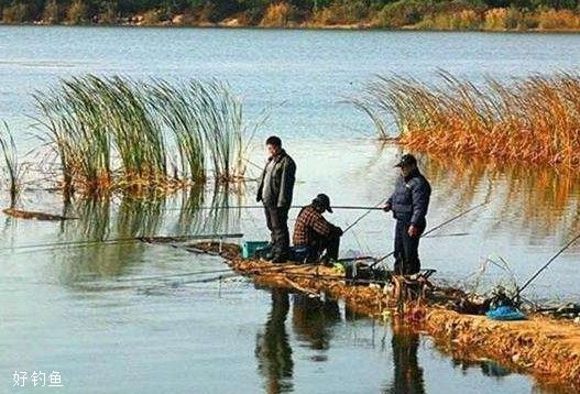 冬季钓鱼没鱼获？四点少一样都会空军