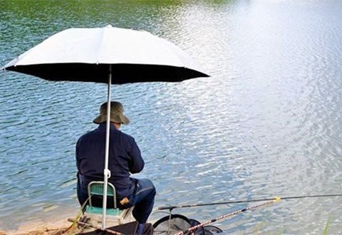 夏季野钓，没有两下子怎么能钓上大草鱼呢