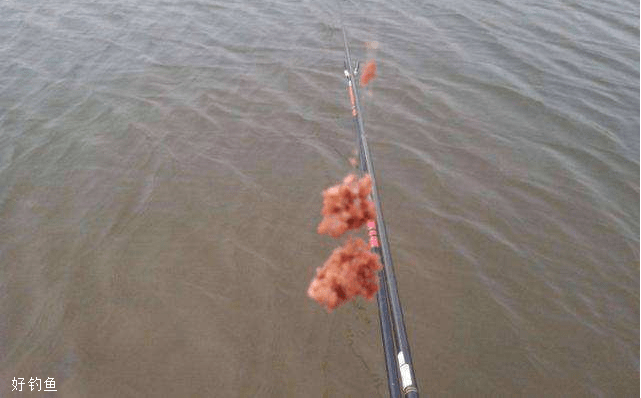 夏天浮钓草鱼怎么调漂