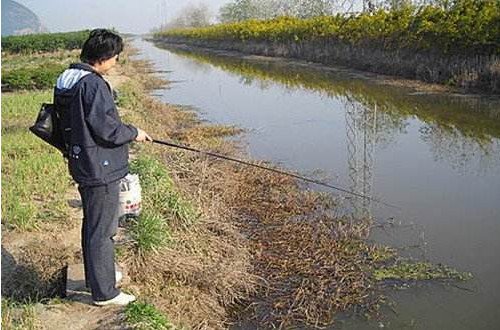 冬季钓鲫鱼怎么选择钓位？注意这四个细节都会关乎你的鱼获