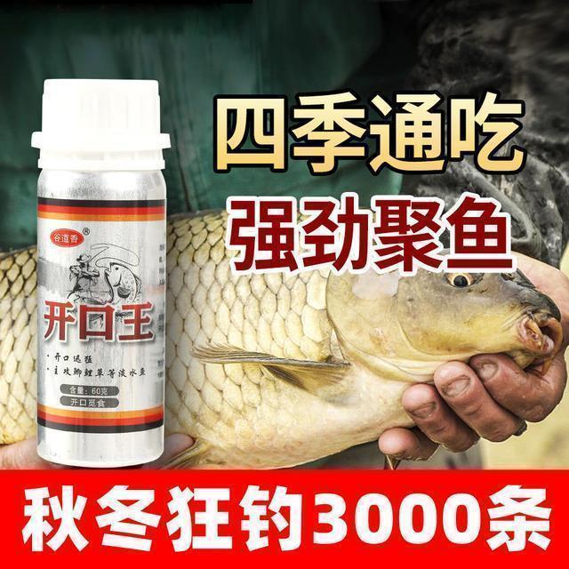 每次扬竿都没鱼，感觉越钓越烦？老司机倾囊相助，中鱼率瞬间提高