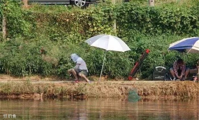 仲秋、深秋钓鱼技巧分析