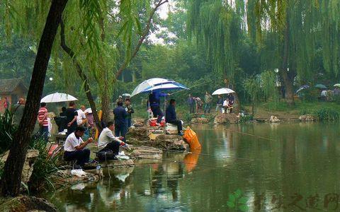 夏季雨天垂钓技巧，鲫鱼妹妹跑不了