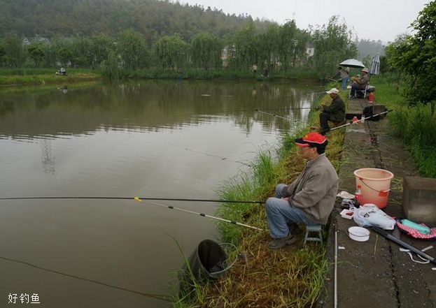 夏季阴天钓鱼技巧，老钓鱼人倾心分享