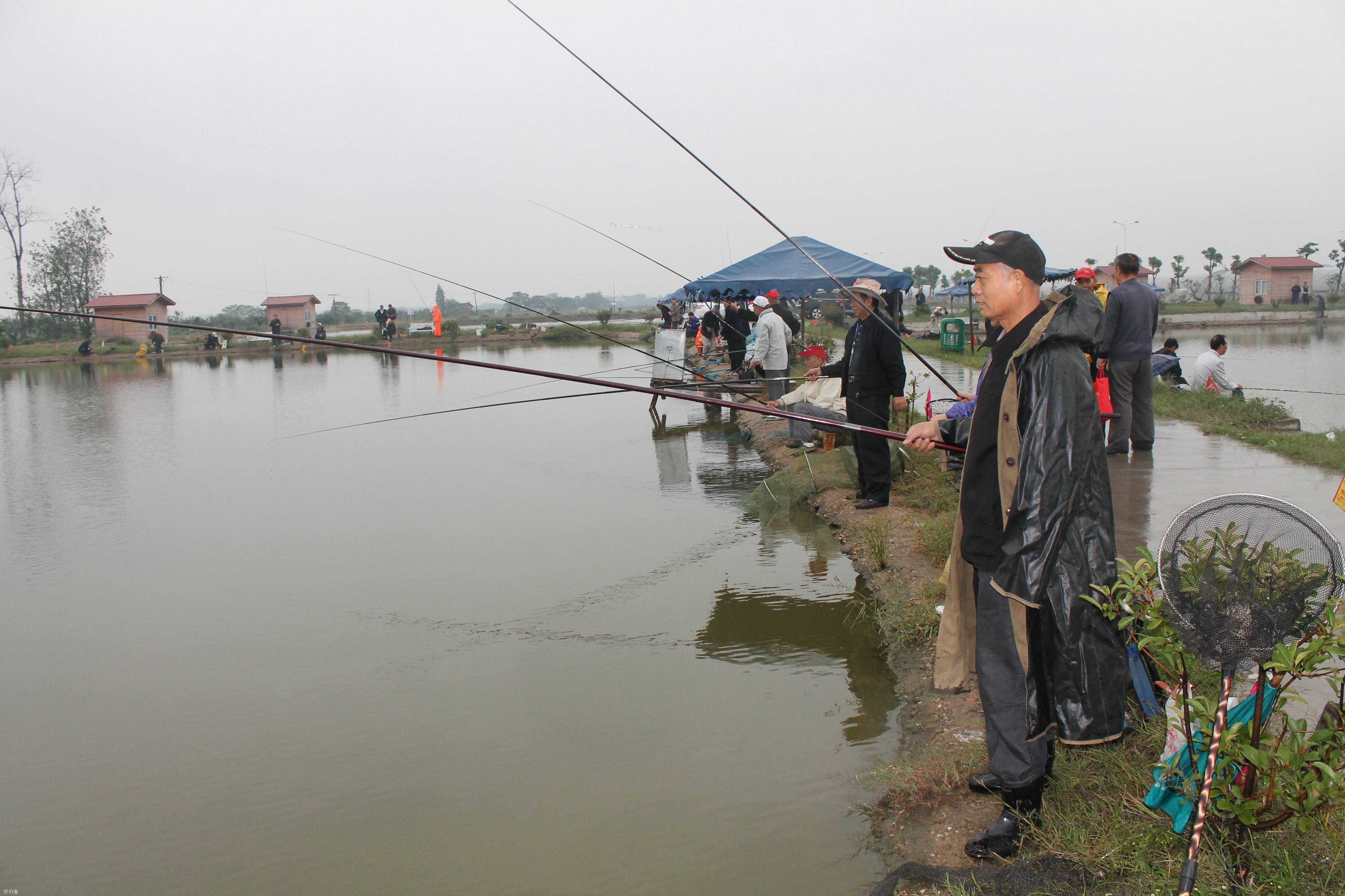 夏季钓鱼常见的3个坑，注意避免出错渔获才会好