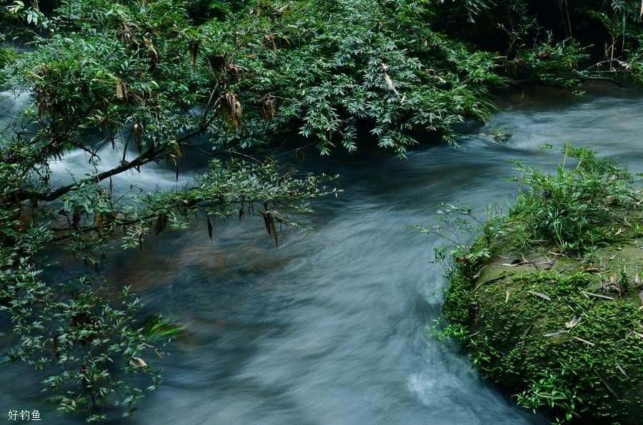 春季钓鱼技巧：常见问题及应对方法