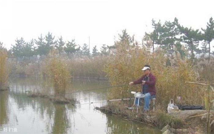 夏钓技巧已过时，秋季钓鱼新思路