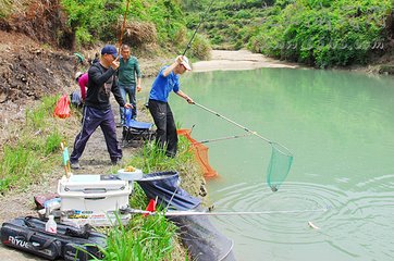 四月钓鱼，依然空军？3个原因分析