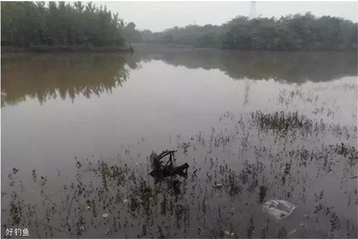 秋季雨后水情分析，与走水钓法技巧