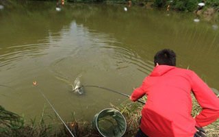 冬季野钓鲫鱼如何找鱼窝与做窝？