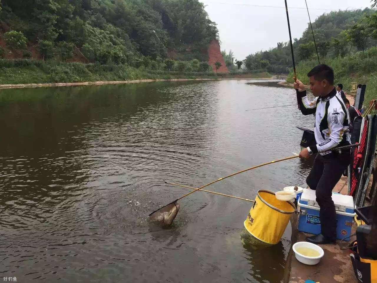 春钓最易犯的5个错误，不想空军的快看