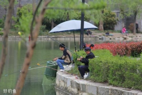 春季钓鱼时间，什么时候出钓好？