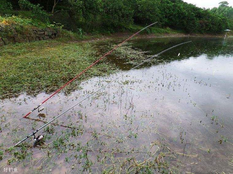 冬天钓鱼钓多深的水？这4种情况可