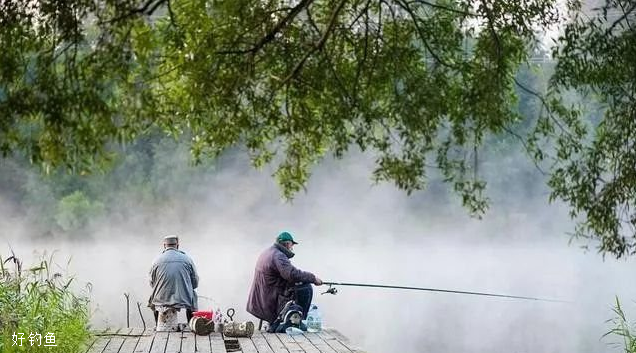 夏季钓鱼，选好出钓时间和钓位很重要