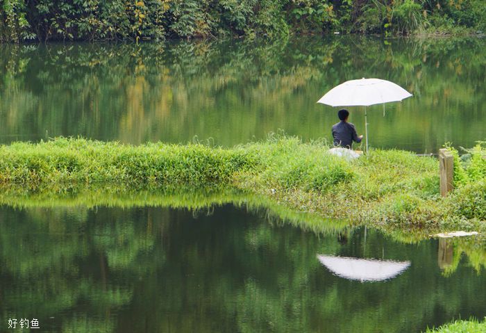 掌握好天气和水温规律，冬季钓鲫鱼一样收获丰厚