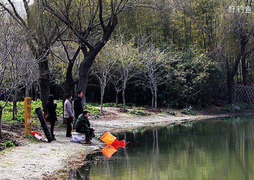 春钓滩：不同天气选位的应对技巧