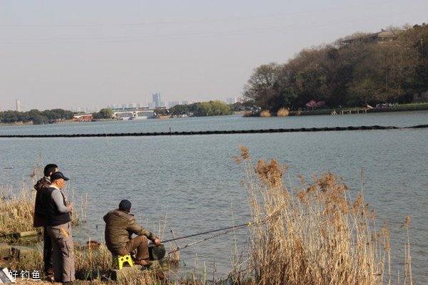 闲话浅谈3~4月春季悬坠钓的技巧