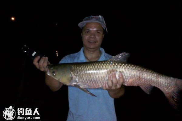 仲秋夜钓的选时选位技巧及钓法