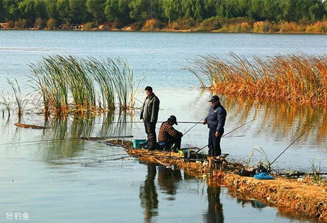 秋季应怎样根据天气和时间出钓？