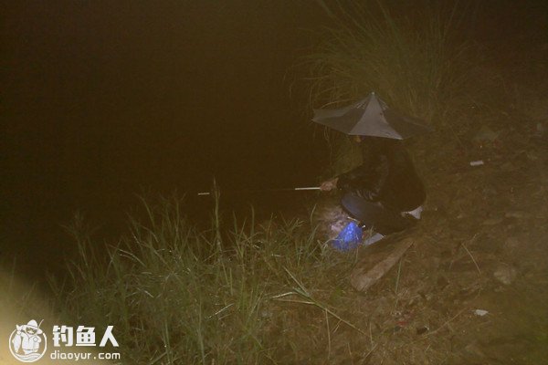 秋季夜钓的饵料选择及钓具配置