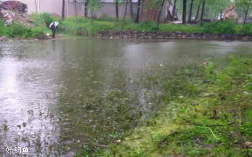 夏季雨天垂钓易空军的5种情况