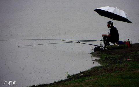 夏季雨天垂钓易空军的5种情况