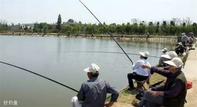 告诉你夏季高温天气钓鱼的几个实用技巧