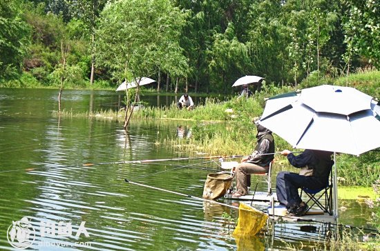 夏季高温天气钓鱼的四个实用技巧