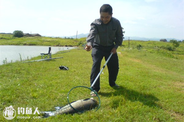 初夏钓鱼也能丰收的五个优势