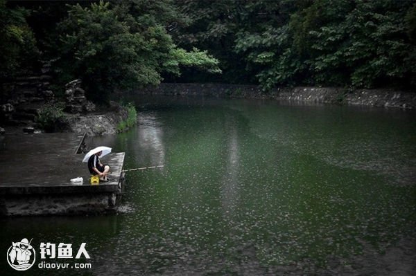 夏季多雨天气垂钓的时机与策略