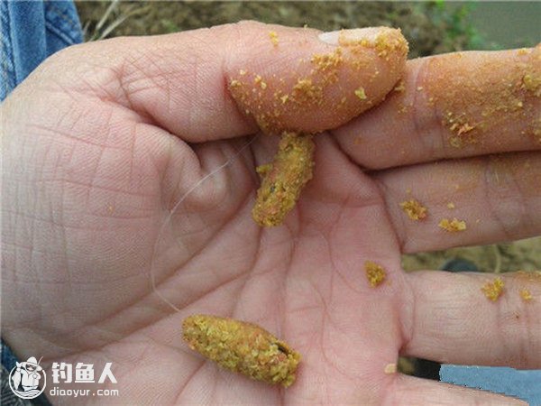 春季钓鱼的用饵、钓具搭配技巧