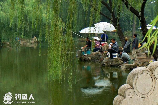 夏季早中晚钓鱼的技巧要点