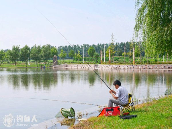 夏钓实用技巧（选时、钓点、用饵等）