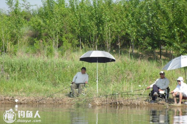 夏季野钓的选位找底与打窝技巧