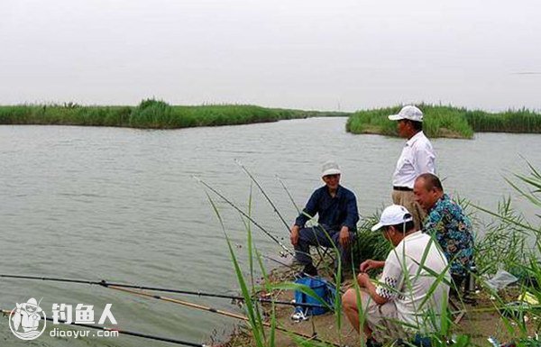 陌生水域夏钓大鱼的选位、做饵遛鱼技巧